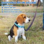 Amylove Adjustable Nylon Dog Collar Set, 27 Pcs