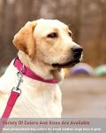 Adjustable Reflective Dog Collar in Pink