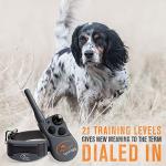SportDOG FieldTrainer 425X Remote Dog Trainer Collar