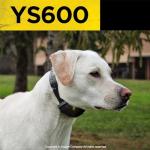 Dogtra YS600 Waterproof Rechargeable No Bark Collar