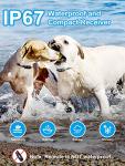 Bousnic Waterproof Dog Training Collar for Two Dogs