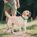 Joytale Adjustable Reflective Dog Collar for Large Dogs