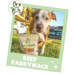 Nature Gnaws Beef Tendons for Heavy Chewers 5-Pack