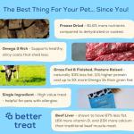 Natural Freeze-Dried Beef Liver Dog Treats