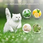 Peppermint Oil Cat Repellent for Home & Yard