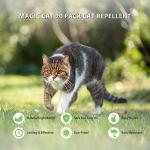 Peppermint Oil Cat Repellent for Home & Yard