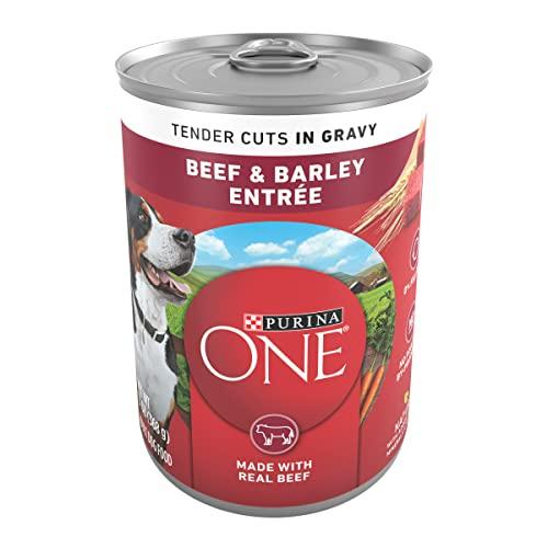 Purina ONE Beef & Barley Wet Dog Food 12-Pack