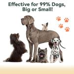 Solar Anti-Barking Device for All Dog Sizes