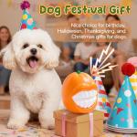 Interactive Squeaky Dog Toy for Fun Playtime