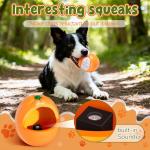Interactive Squeaky Dog Toy for Fun Playtime