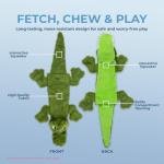 Soft Squeaky Dog Toys for Active Play