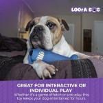 Multipet Loofa Squeaky Dog Toy - 6 Inch