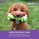 Multipet Loofa Squeaky Dog Toy - 6 Inch