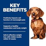 Hill's Science Diet Weight Management Dog Food 4 lb