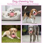 Indestructible Chew Toy for Small and Medium Dogs