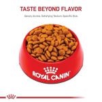 Royal Canin Medium Adult Dry Dog Food 17 lb