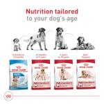 Royal Canin Medium Adult Dry Dog Food 17 lb