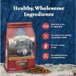 Blue Buffalo Wilderness Rocky Mountain Dry Dog Food
