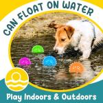 Interactive Puppy Toy Set for Teething Dogs