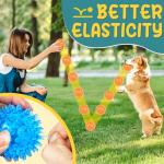 Interactive Puppy Toy Set for Teething Dogs