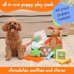 Complete Puppy Starter Kit with Essentials and Toys