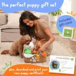 Complete Puppy Starter Kit with Essentials and Toys