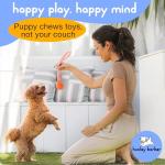 Complete Puppy Starter Kit with Essentials and Toys