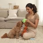 Complete Puppy Starter Kit with Essentials and Toys