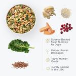 JustFoodForDogs Whitefish Dog Food for Sensitive Skin