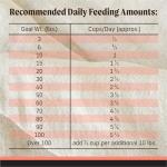 Merrick Backcountry Grain-Free Salmon Dog Food 20 lb