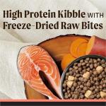 Merrick Backcountry Grain-Free Salmon Dog Food 20 lb