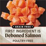 Merrick Backcountry Grain-Free Salmon Dog Food 20 lb