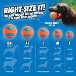Chuckit! Ultra Fetch Balls - Durable Dog Toys