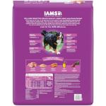 IAMS Large Breed Healthy Aging Dog Food, 30 lb