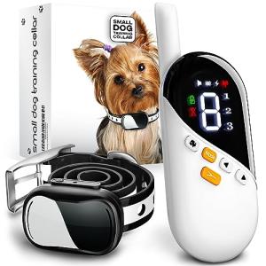 Small Dog Training Shock Collar with Remote