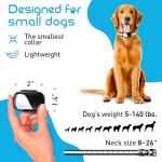 Small Dog Training Shock Collar with Remote