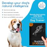 Small Dog Training Shock Collar with Remote