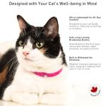 Soft Breakaway Collar with Name Tag Ring - Pink