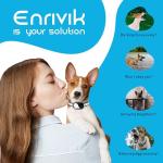 Small Dog Training Shock Collar with Remote