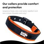 Black Rhino Heavy Duty Dog Collar for Large Dogs