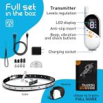 Small Dog Training Shock Collar with Remote