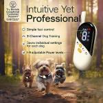 Small Dog Training Shock Collar with Remote