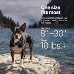 Halo Collar 5 Wireless GPS Dog Fence System