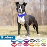 12 Pack Reflective Martingale Collars for Dogs