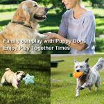 9 Pack Small Dog Squeaky Toys in Fun Colors