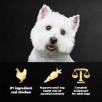 Cesar Small Breed Dry Dog Food, Chicken & Veggies