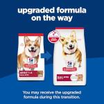 Hill's Science Diet Dry Dog Food, Lamb & Rice