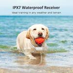 PATPET Rechargeable Dog Training Collar with Remote