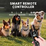 Rechargeable Dog Training Collar with Remote Control