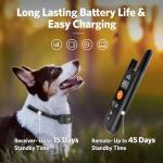Rechargeable Dog Training Collar with Remote Control
